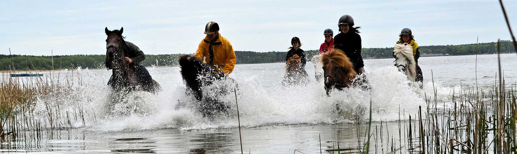 Arendsee Urlaub Flair Hotels In Den Regionen Zuhause